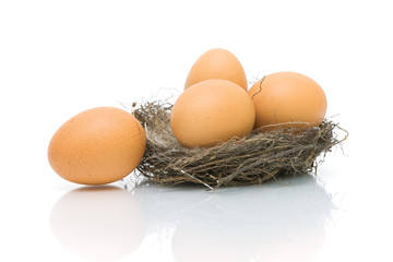 eggs in the nest on a white background with reflection