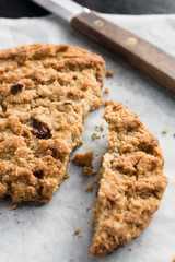 cookie with crumbs