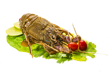 Raw spiny lobsters