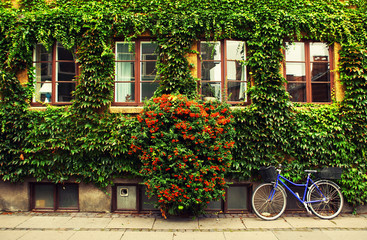 The bicycle in Copenhagen.