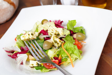 fresh mixed salad - frischer, bunter salat