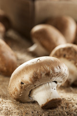 Organic Brown Baby Bella Mushrooms