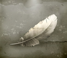 Feather, old-style