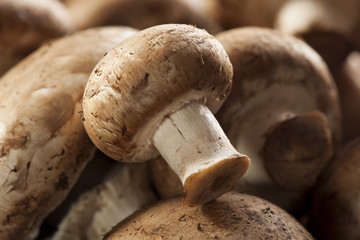 Organic Brown Baby Bella Mushrooms