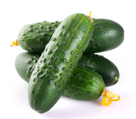 Fresh cucumber