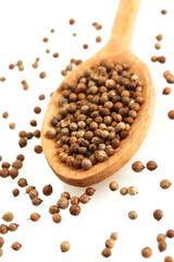 Heap coriander seeds in wooden spoon