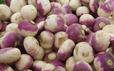 Fresh turnips