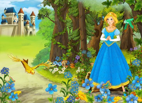 The princesses - castles - knights and fairies