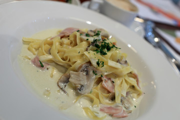 Fettuccine on a white plate