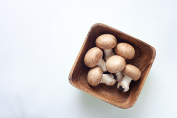 マッシュルーム