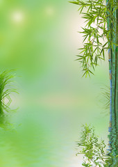 composition nature asiatique