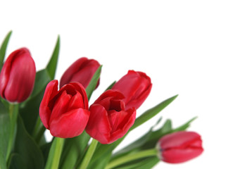 Rote Tulpen