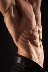 Muscular male torso