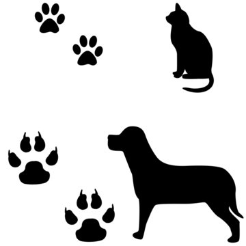 Cat and dog black and white illustration with their footsteps.