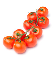 Isolated Vine Tomatoes