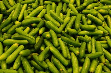 Cucumbers Supermarket Organic