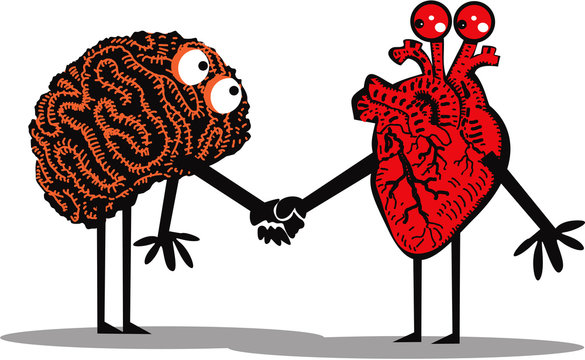 Handshake of brain and heart