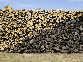 Holz Ster © tobiasbojko