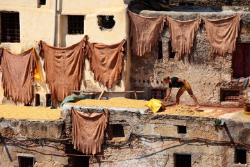 Old tanks of the Fez's tanneries with color paint for leather
