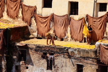 Old tanks of the Fez's tanneries with color paint for leather