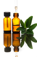 Essential oil with sage - 51031613
