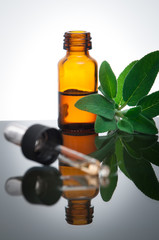 Essential oil with sage - 51031630