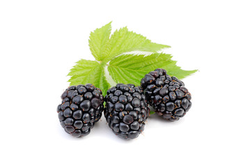 Brombeere © unverdorbenjr