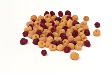 red and yellow raspberries