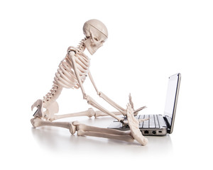 Skeleton working on laptop