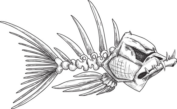 sketch of evil skeleton fish with sharp teeth