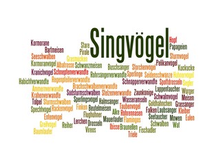 Singv&ouml;gel
