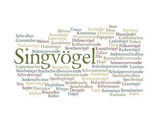 Singvögel