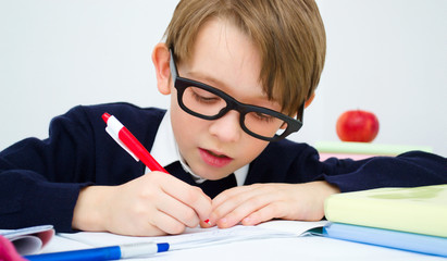 Schoolboy writing homework in workbook