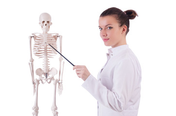 Doctor with skeleton on white