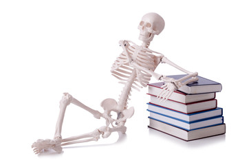 Skeleton reading books on white