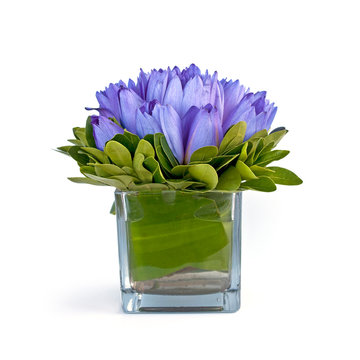 Bouquet de lotus bleus dans un vace