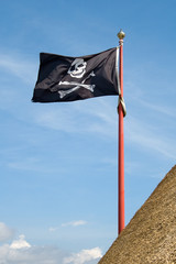 pirate flag with a skull and crossbones