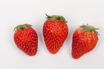 イチゴ　とちおとめ