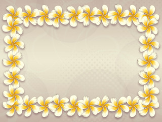 White plumeria flowers frame