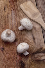 Грибы здоровая пища.Вегетарианство