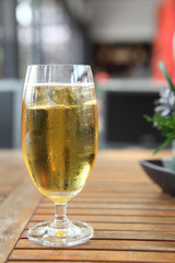 beer