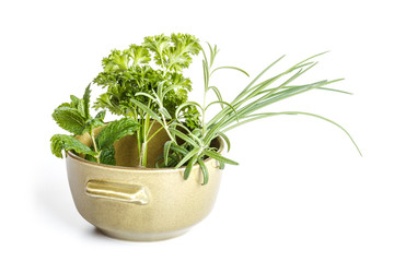 Herbs in bowl
