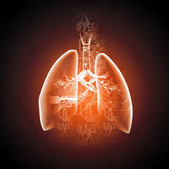 Schematic illustration of human lungs