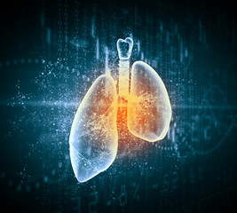 Schematic illustration of human lungs