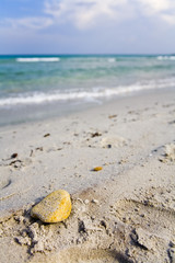 versilia spiaggia