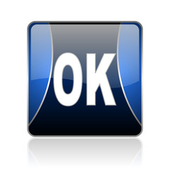 ok blue square web glossy icon