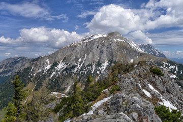 Scheinbstein