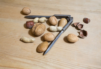 nuts hazelnuts, walnuts, almonds