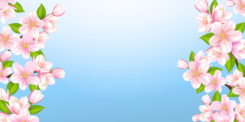 Beautiful branches of Sakura