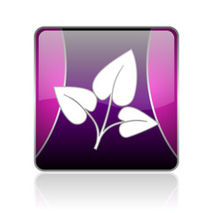 eco violet square web glossy icon